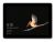 Microsoft Surface GO -10 inch Display,128GB,8GB RAM,Intel Pentium Gold 4415Y -Platinum