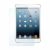 Screen protector-iPad mini