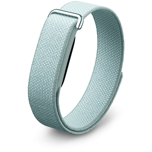 Google Fitbit Air - Classic - Fog Band