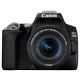 Canon EOS 250D with 18-55mm f/4-5.6 IS STM Lens